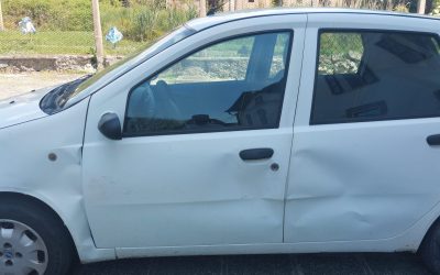 Scontro con un daino tra Volania e la Romea: coppia illesa per miracolo