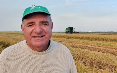 Riso italiano: Cia Ferrara lancia l’allarme tra clausole inefficaci e l’entrata in vigore del Mercosur