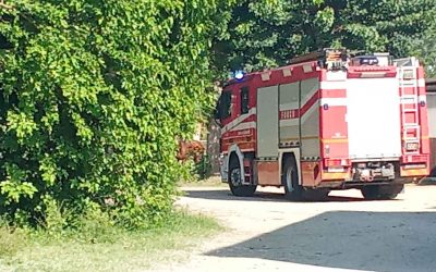 Fiamme al Centro Ippico. In salvo oltre trenta cavalli