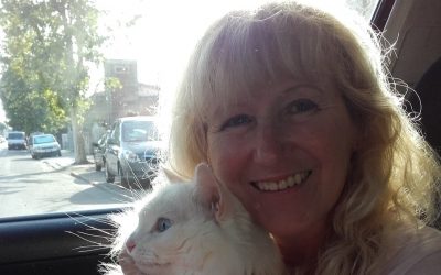 Muore nello scontro frontale una donna di Comacchio