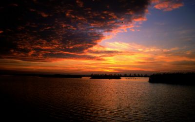 “La magia al tramonto” con l’Ecomuseo di Argenta