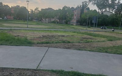 Giostre in Krasnodar, il Koesione22 attacca: “Alberi tagliati e campo da calcio da ripristinare”