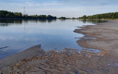 Po sotto osservazione, nel Ferrarese cala la riserva idrica