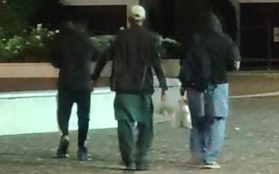 Vandali in piazza a Portomaggiore, la denuncia di Cavedagna: “Centro storico insicuro e degradato”