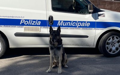 Ferrara, droga nascosta nei pacchi ai detenuti: sequestrata cocaina alla Casa Circondariale