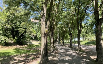 Ferrara, una camminata per “vedere” la città da un’altra prospettiva