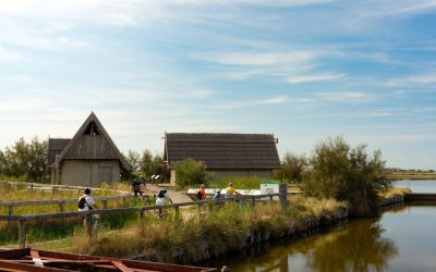 Primavera Slow: tre mesi per scoprire il Delta del Po tra natura, cultura ed esperienze lente