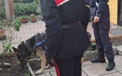 Stretta antidroga, 55enne arrestata e trasferita in carcere