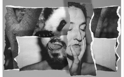 “La diplomazia del panda”, teatro e geopolitica si incontrano a Bonsai Festival