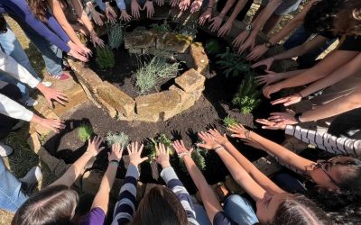Maratona della Biodiversità: a Ferrara studenti in azione con la Citizen Science