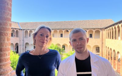 Il cervello oltre i neuroni: anche gli astrociti influenzano memoria e attenzione