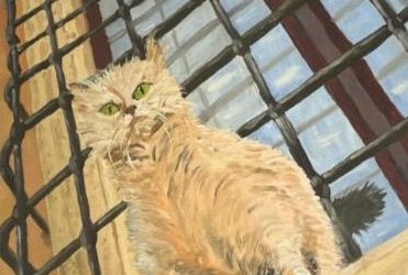 Mostra di pittura “C’è un tempo per tutto… anche per pensare”