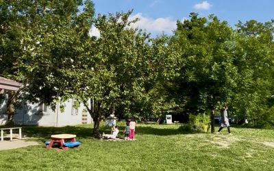 Scuola dell’infanzia Nigrisoli: torna il campo estivo. Aperte le iscrizioni