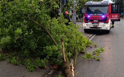 Maltempo nell’Alto Ferrarese, notte di interventi per i vigili del fuoco