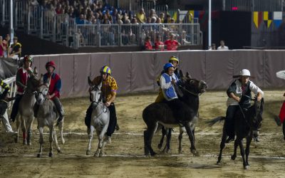 Palio, annullate le prove dei cavalli. Si corre direttamente sabato sera