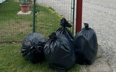 Rifiuto indifferenziato: le modalità di esposizione corrette per un servizio equo