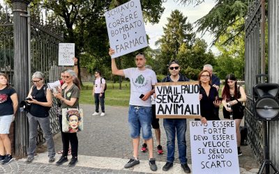 Palio, la protesta degli animalisti: “Ferrara scelga una festa senza sfruttamento”