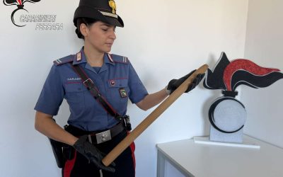 Minaccia il personale con un bastone e danneggia gli ambulatori: denunciato 50enne a Copparo