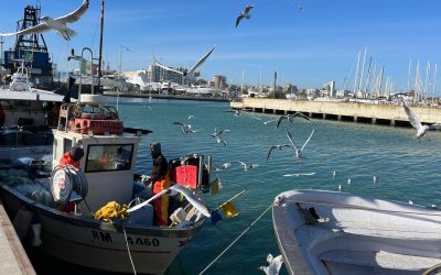 Da Goro a Rimini: cooperazione in campo per tutelare mare e pesca