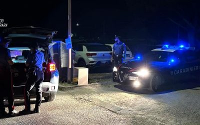 Mala movida, sette nei guai: due guidavano ubriache, uno aveva un cartello stradale rubato