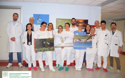 L’arte della fotografia trasforma le corsie della medicina interna a Cona
