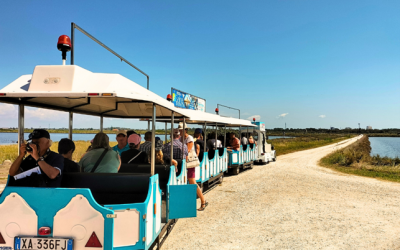 Salina di Comacchio fra le mete preferite dell’estate