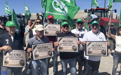 Prezzi del grano in picchiata: flash mob al Porto di Ravenna. Ferrara presente