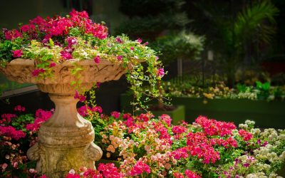 Giardini domestici: cosa li rende accoglienti e cosa invece li svuota