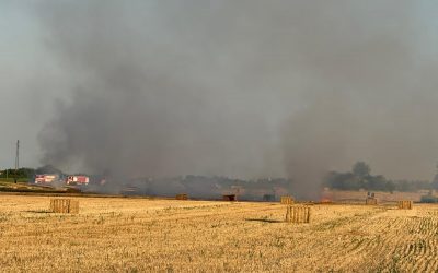 Mietitrebbia in fiamme tra Migliaro e Migliarino, incendio anche nel campo di grano