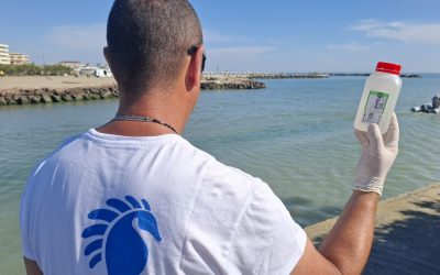 Goletta Verde, promossa la costa ferrarese: acque entro i limiti a Porto Garibaldi