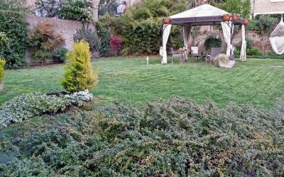 A Ferrara la mostra “Rigorismo costruttivo” sulle pareti di Alkimia Smart Rooms