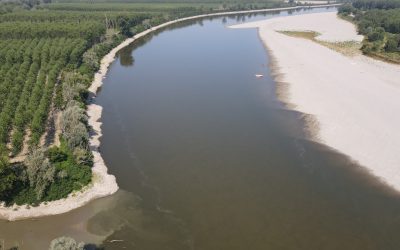 Siccità, il Po preoccupa: a Pontelagoscuro portata sotto i 300 metri cubi al secondo