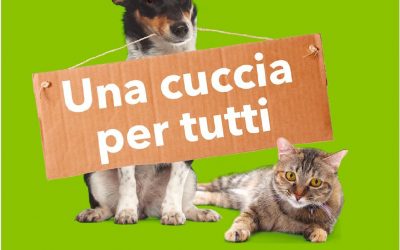 Con “Una cuccia per tutti” Coop Alleanza 3.0 rinnova il suo impegno contro l’abbandono degli animali