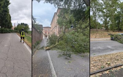 Maltempo nel Ferrarese: decine di interventi per alberi abbattuti e danni alle linee elettriche