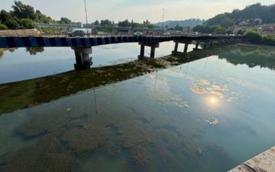 Siccità, nel Ferrarese torna l’allarme: sul Delta il cuneo salino è risalito fino a 25 chilometri