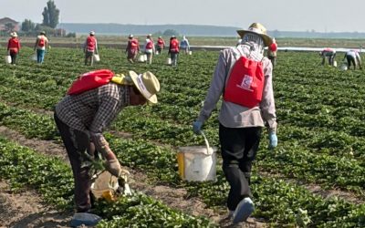 All’alba tra i braccianti: così le Brigate del Lavoro fanno arretrare il caporalato