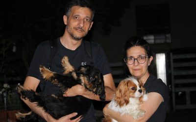 Basket e solidarietà: Despar 4 Torri e Ffl Rescue Cavalier King Odv insieme per la nuova stagione