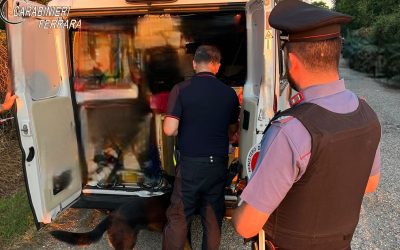 Zion Festival, arrestato un 27enne e oltre 150 persone controllate
