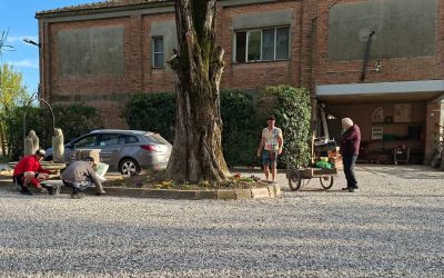 Il mestiere di imparare a vivere liberi