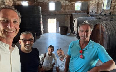Confcooperative, parte il percorso tra economia sociale e intersettorialità