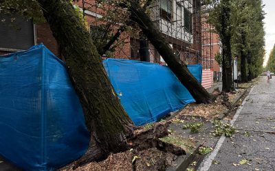 Nubrifagio. Pd in Regione: “Serve bilancio danni”