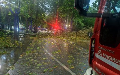 Clara: ritiro gratuito di verde e ramaglie dopo il temporale del 15 luglio