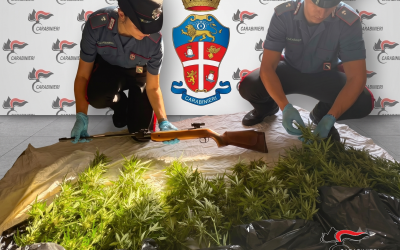 Nove piante di marjiuana e una carabina, denunciato 50enne a Mesola