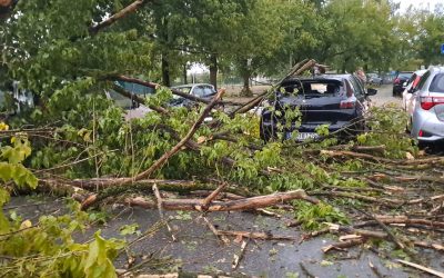 Nuova allerta per temporali nel Ferrarese, attenzione alta dopo gli ultimi nubifragi