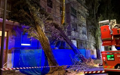 Maltempo, vigili del fuoco senza sosta: centinaia di interventi al giorno