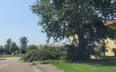 Maltempo, Copparo evita i danni più gravi: blackout in via Po e rami caduti in alcune zone