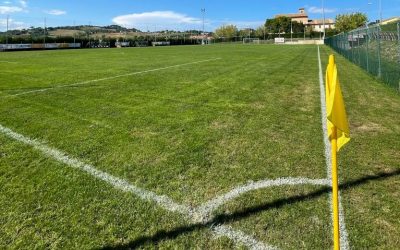 I ladri non trovano soldi, si sfogano mangiando e giocando
