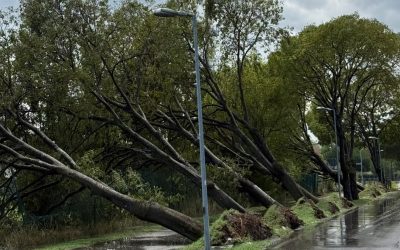 Grandine e vento devastano l’Alto Ferrarese: danni a capannoni, abitazioni e impianti pubblici