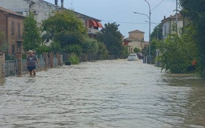 Maltempo, Ferrara in ginocchio. Allagamenti, incidenti e alberi caduti