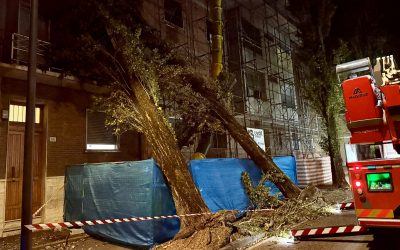 Una settimana senza tregua: oltre mille interventi per i vigili del fuoco